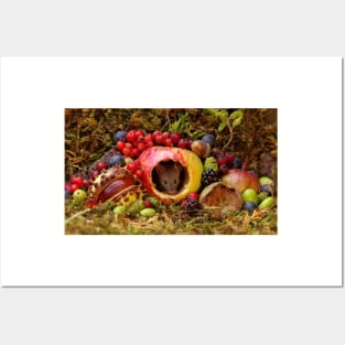 Autumn wild mouse inside a apple with natures bounty Posters and Art